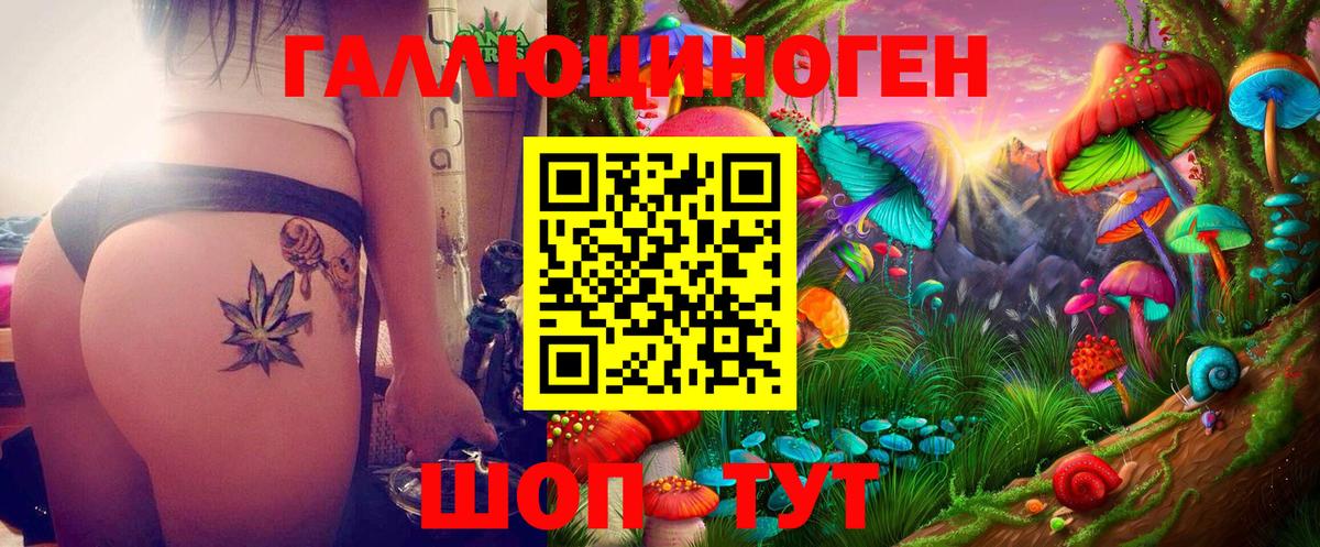 Псилоцибиновые грибы ЛСД  где продают   Сальск  Вход с VPN 